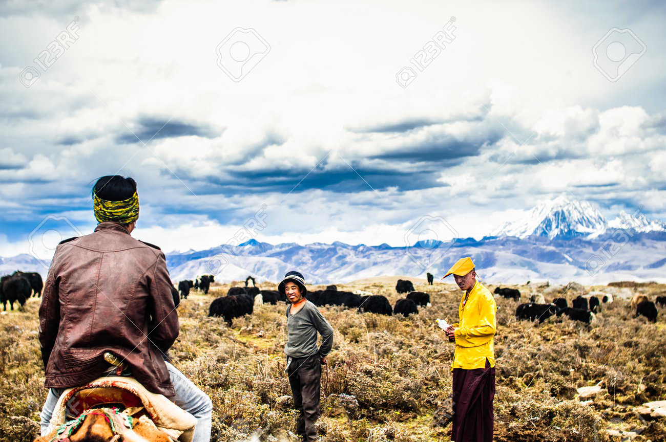 Tagong grassland, China on 12th May 2015 - Tibetan nomads and Yak cattles - 142308252 Tagong grassland, China on 12th May 2015 - Tibetan nomads and Yak cattles - 142308252