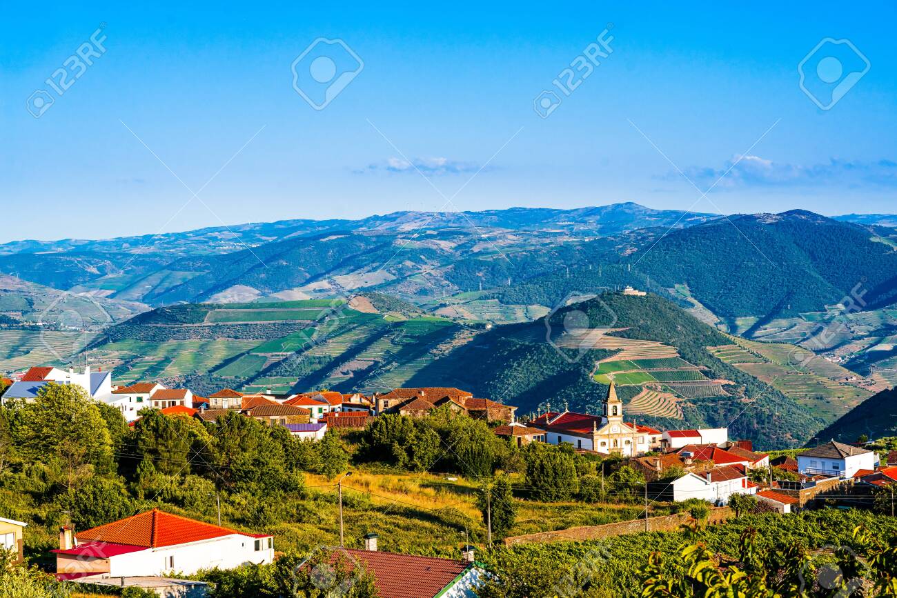 View on Vineyard in Provesende village in the Douro Valley region, Portugal - 142709863 View on Vineyard in Provesende village in the Douro Valley region, Portugal - 142709863
