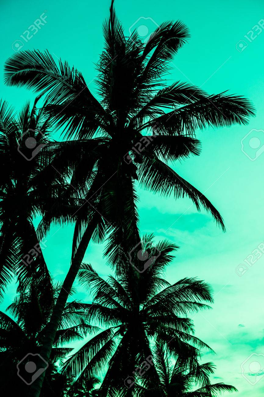 Get Strand stilisiert For Free Strand Stilisiert