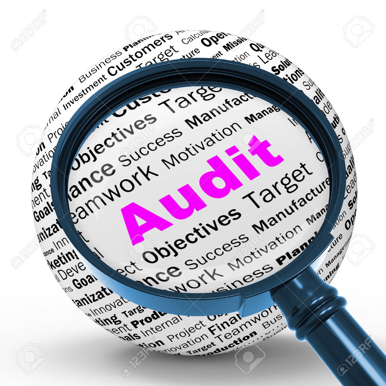 Image result for audit or inspection