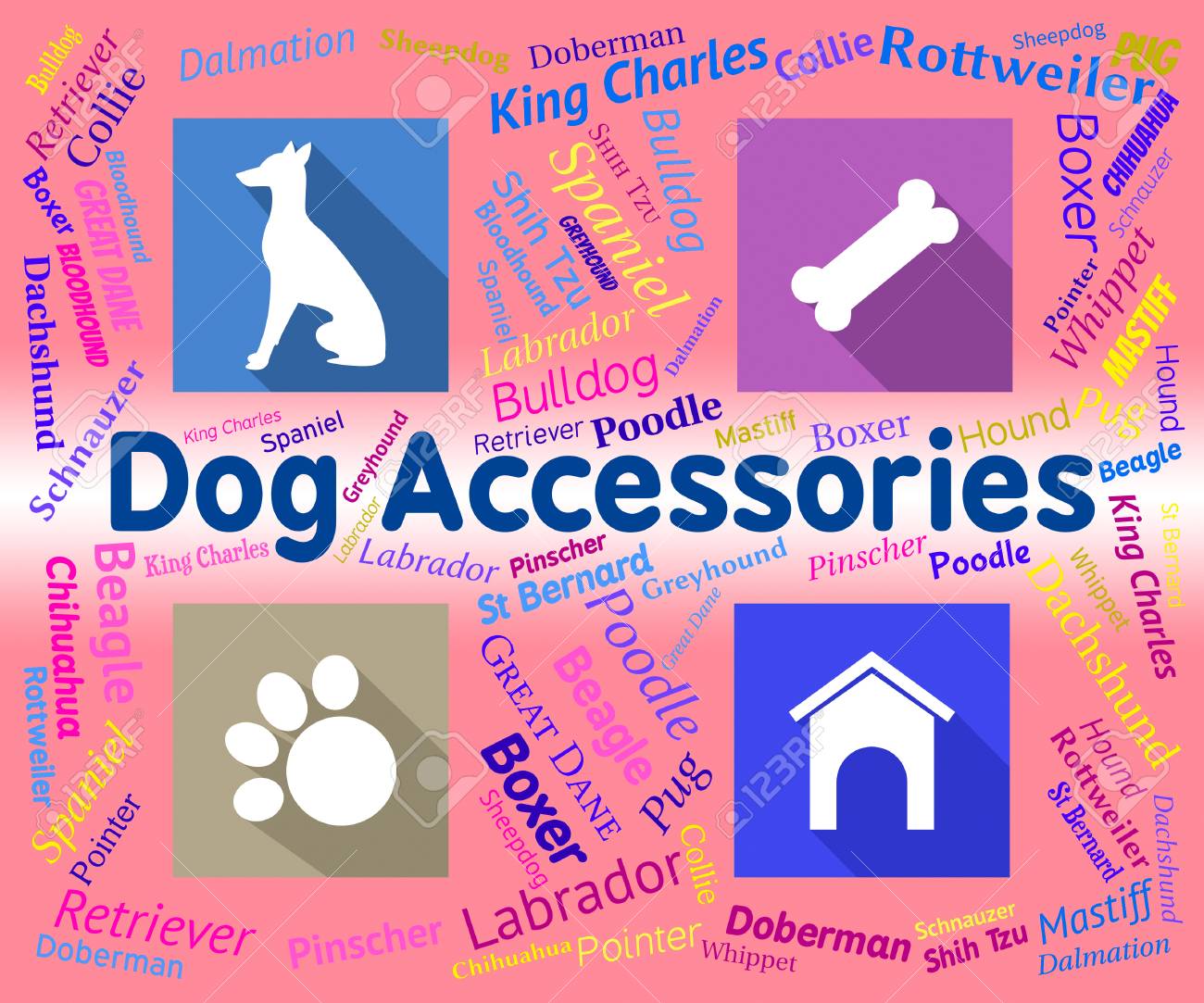 dog showing accessories