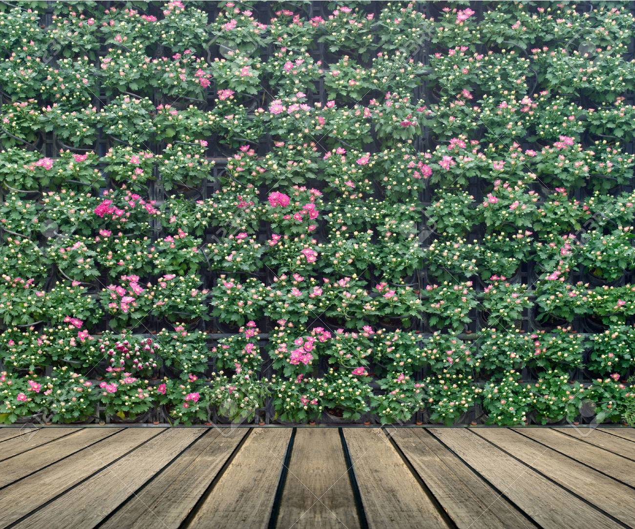 花の壁の垂直の庭 の写真素材 画像素材 Image