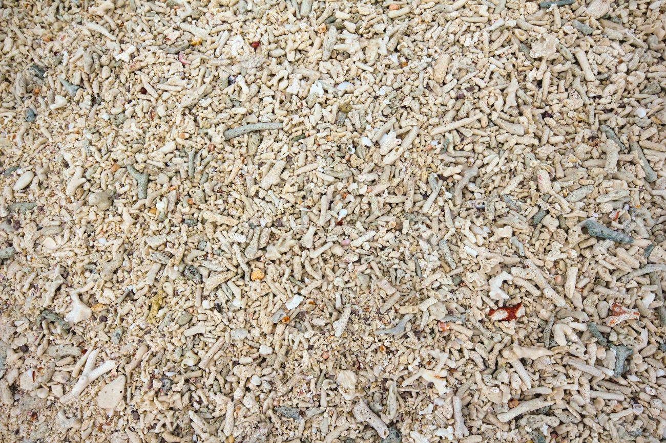 サンゴ砂島テクスチャ の写真素材 画像素材 Image