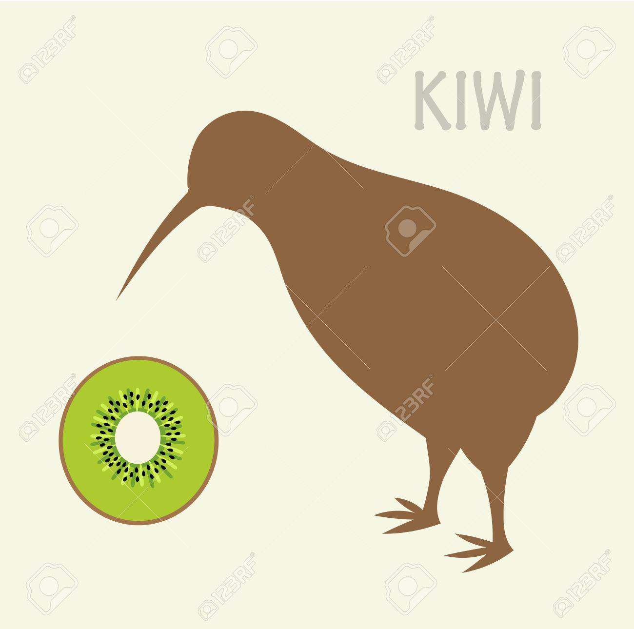 Le Kiwi Emblème De La Nouvelle Zélande Les Superwomamans