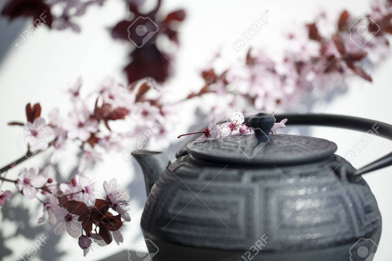 Theiere Traditionnel Japonais Avec Des Fleurs De Fleurs De Cerisier Pour Zen Et Detente Banque D Images Et Photos Libres De Droits Image