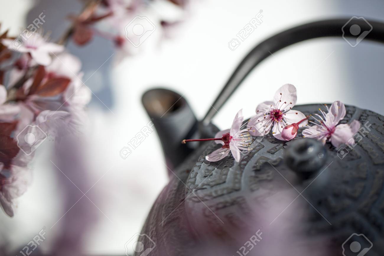 Theiere Traditionnel Japonais Avec Des Fleurs De Fleurs De Cerisier Pour Zen Et Detente Banque D Images Et Photos Libres De Droits Image