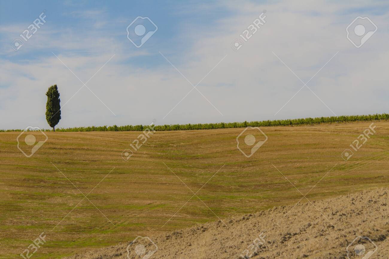 Campagna Toscana Di Fine Estate Stock Photo Picture And Royalty Free Image Image