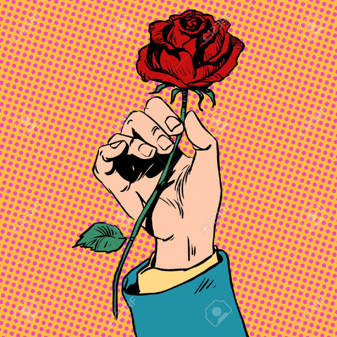 flower red rose in