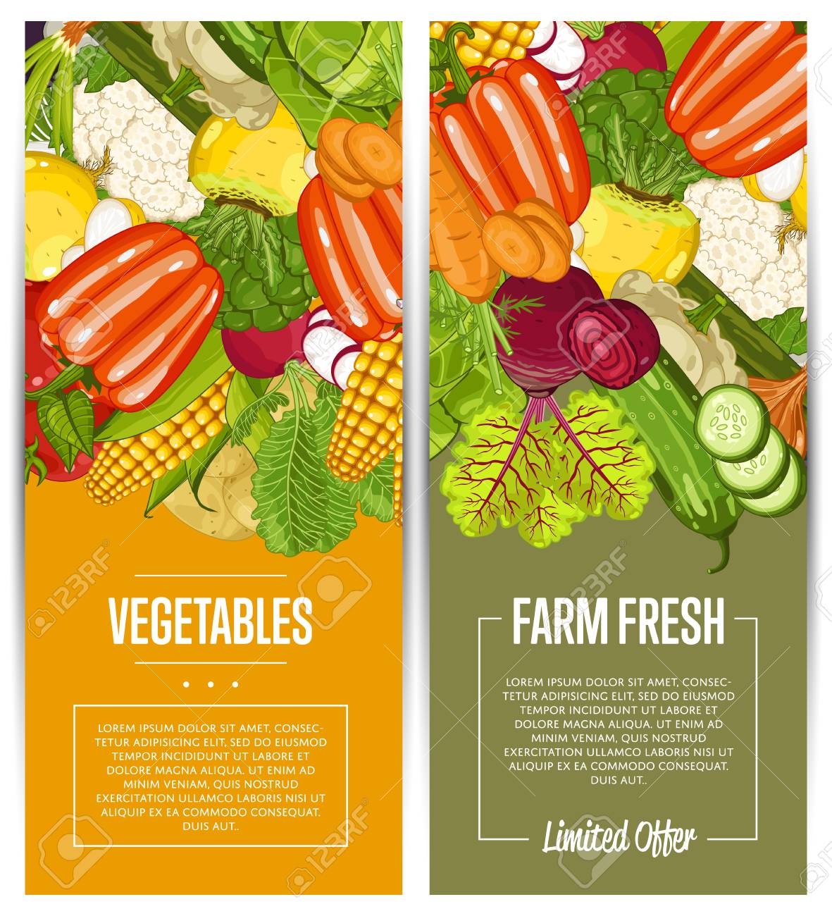 organic vegetable farming flyers set royalty free cliparts vectors nutrition flyers