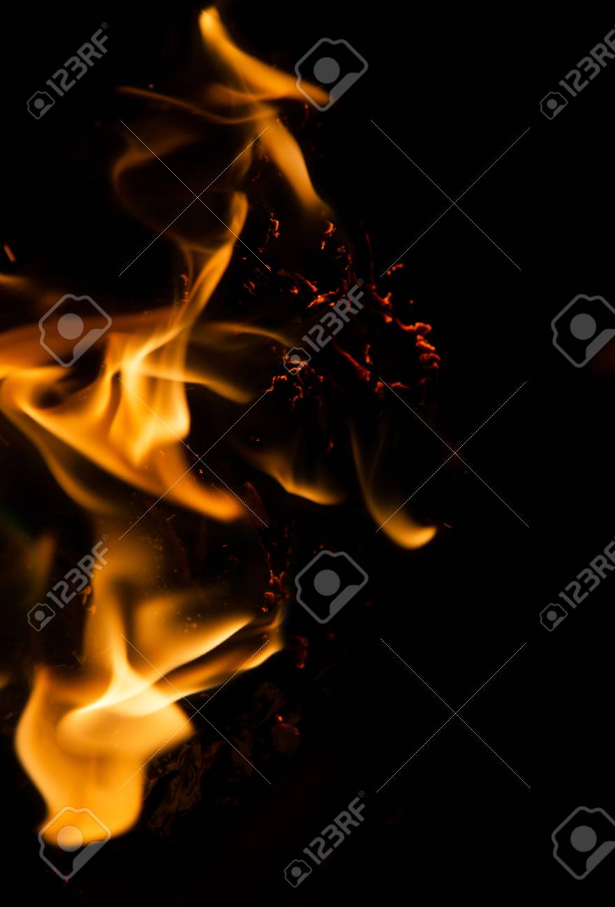 etiam-dictum-ipsum-a-felis