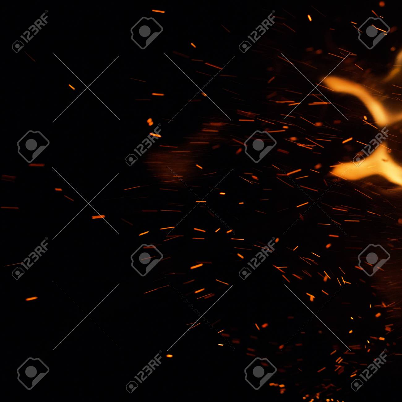 etiam-dictum-ipsum-a-felis