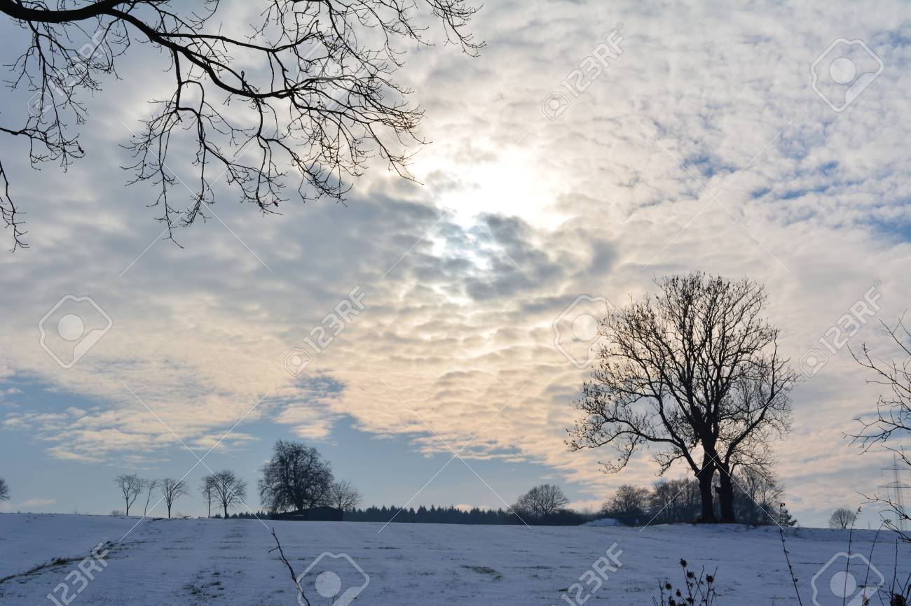 冬の雪風景 の写真素材 画像素材 Image