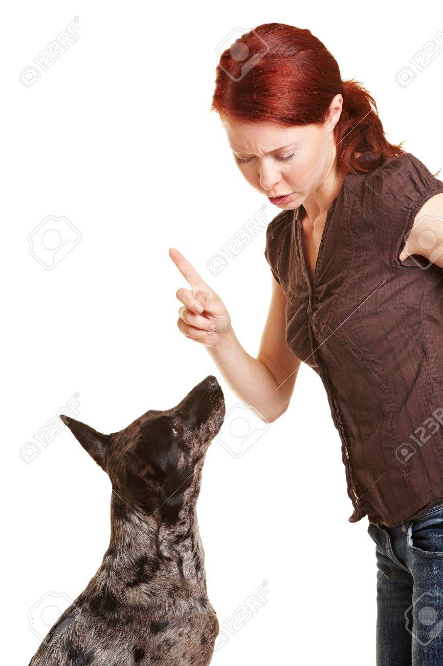 女性を人差し指で彼女の犬を叱る の写真素材 画像素材 Image