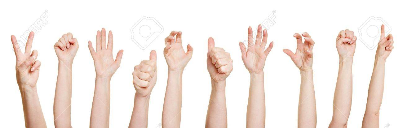 Many hands making different gestures like fists or thumbs up - 18919813 Many hands making different gestures like fists or thumbs up - 18919813