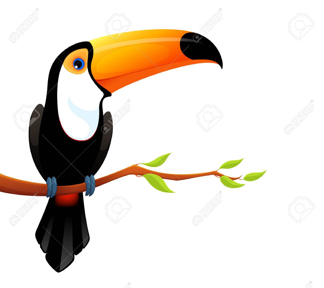 かわいいオオハシのカラフルなイラスト のイラスト素材 ベクタ Image