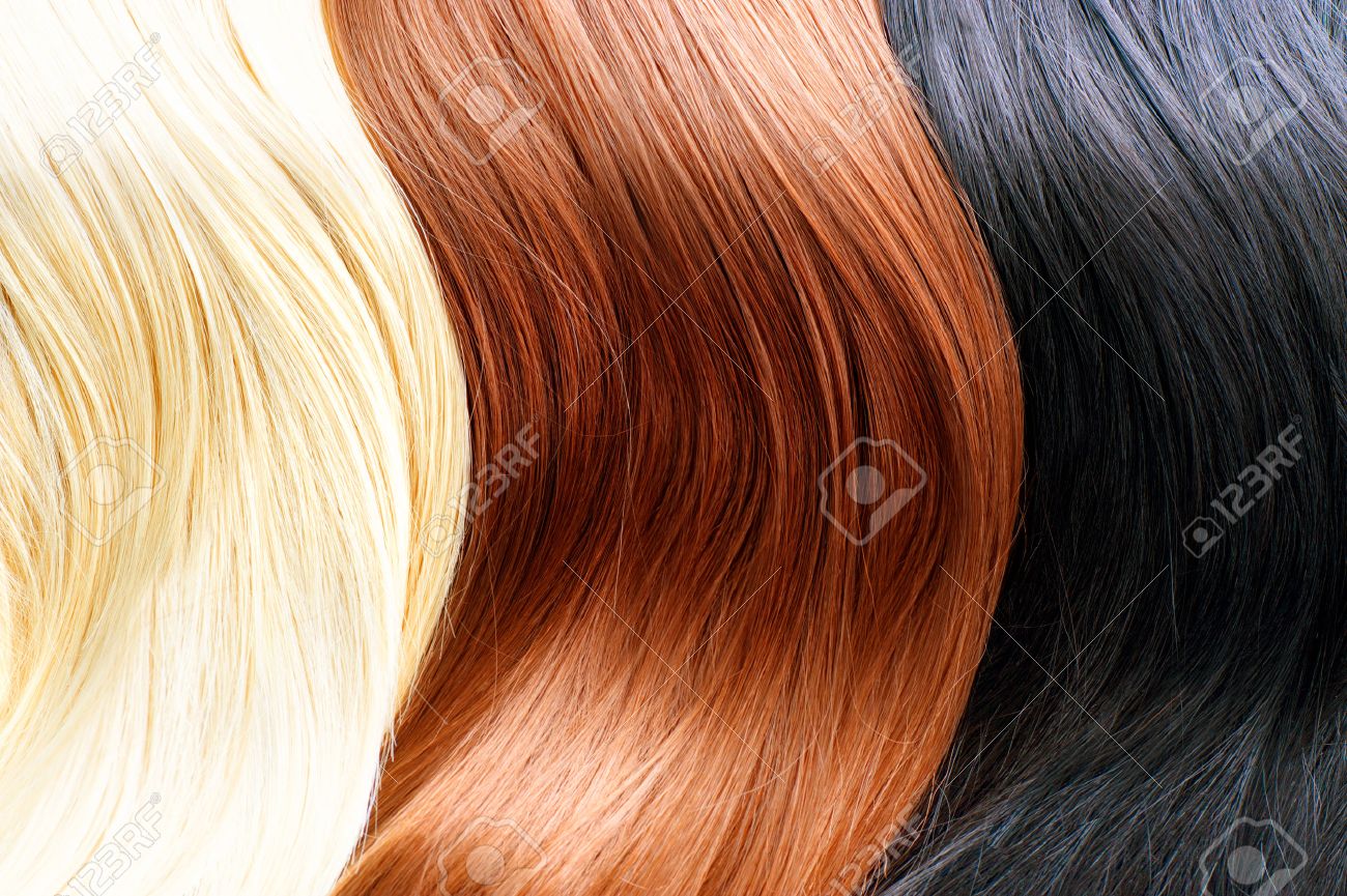 Hair Colors Palette Blonde Brown And Black Hair Colours