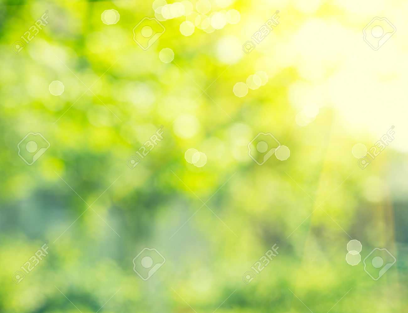 Nature Background. Abstract Blurred Summer Green Bokeh Stock Photo, Picture  and Royalty Free Image. Image 39207634., image size:1300x997