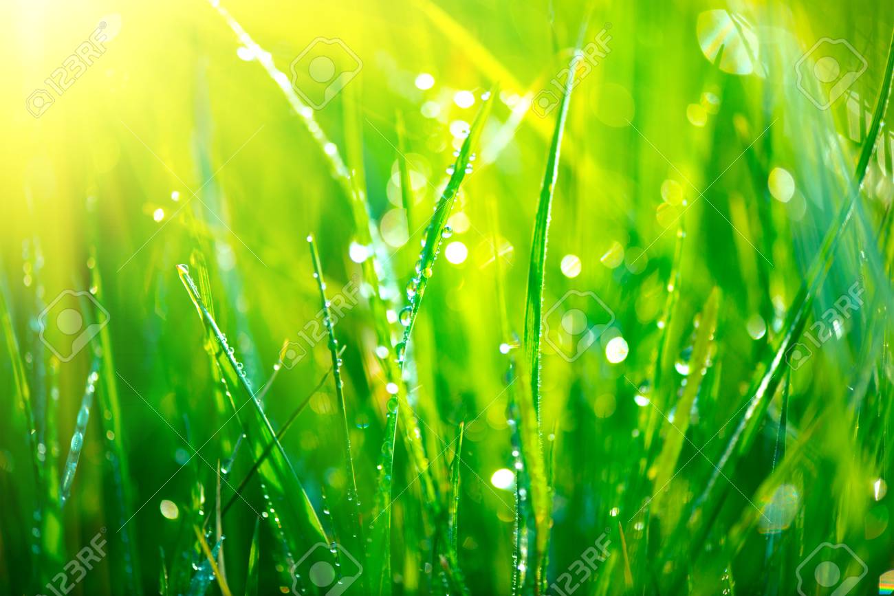 100以上草露 草露布