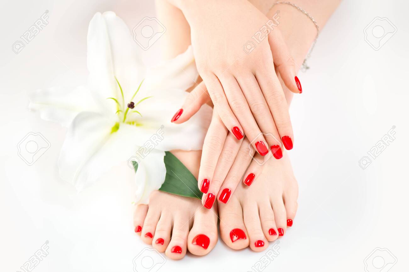Manicure and pedicure in spa salon. Skincare concept. Healthy female hands and legs with beautiful nails - 125524121 Manicure and pedicure in spa salon. Skincare concept. Healthy female hands and legs with beautiful nails - 125524121