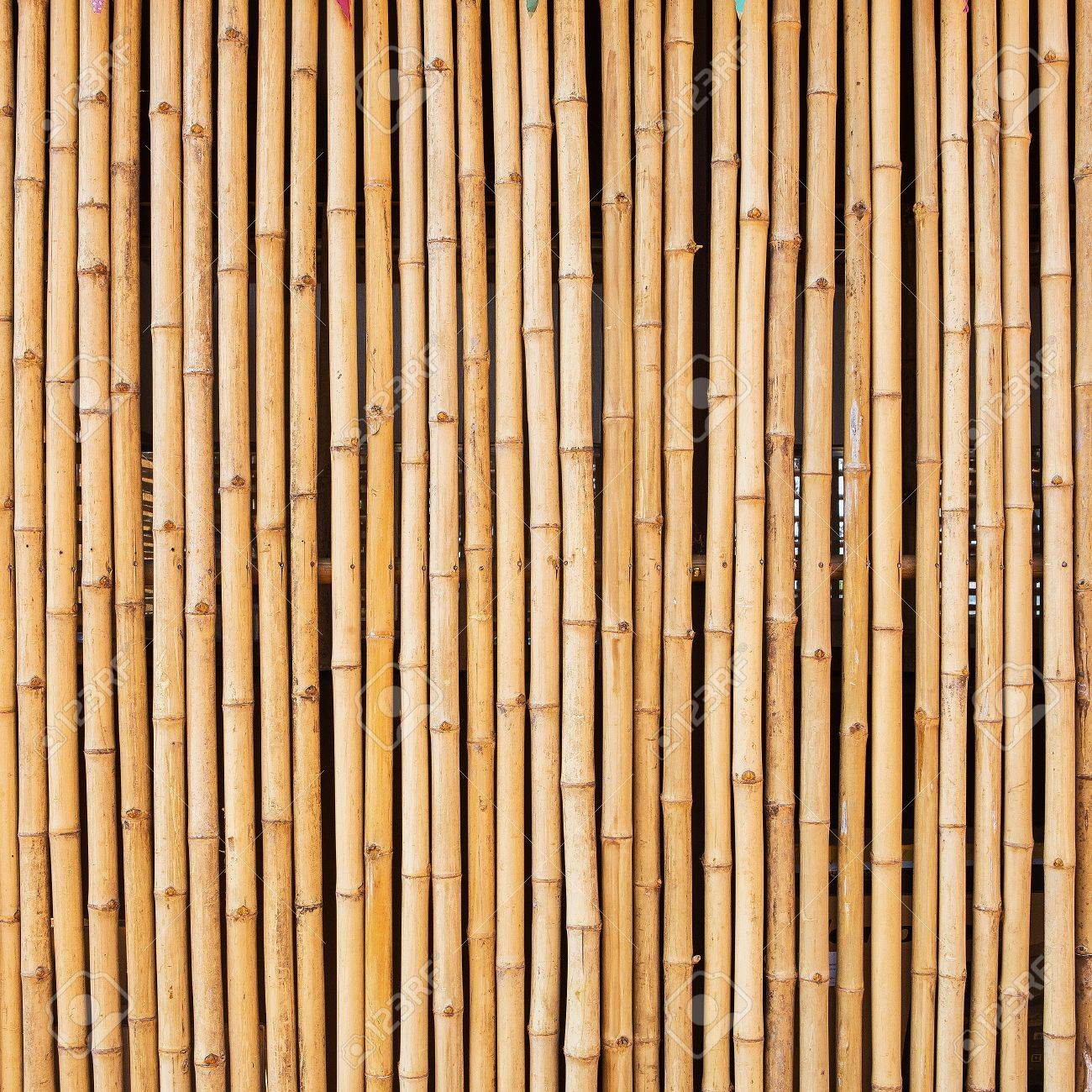 自然なパターンを持つ竹テクスチャー の写真素材 画像素材 Image 自然なパターンを持つ竹テクスチャー の写真素材 画像素材 Image