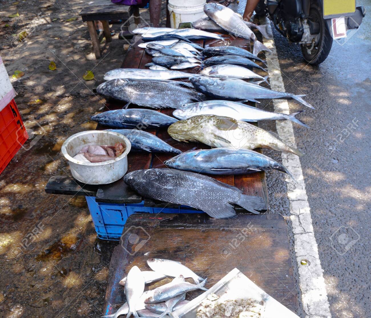 Fish Market In Asia Catching Sea And Ocean Animals In The Indian