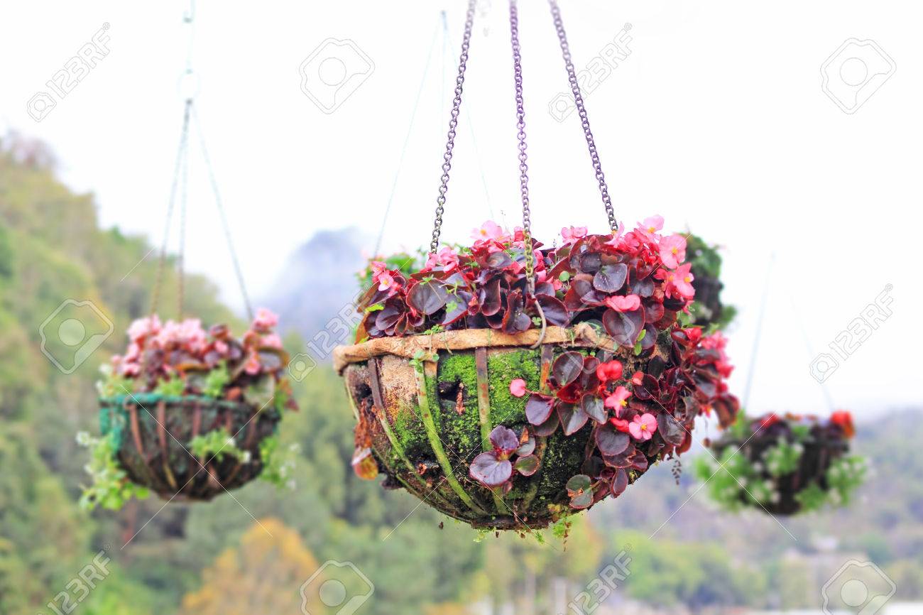 Multicolor De Flores Colgantes Para La Decoración De La Casa Y El Jardín Fotos, Retratos, Imágenes Y Fotografía De Archivo Libres De Derecho. Image 36366222. Multicolor De Flores Colgantes Para La Decoración De La Casa Y El Jardín Fotos, Retratos, Imágenes Y Fotografía De Archivo Libres De Derecho. Image 36366222.