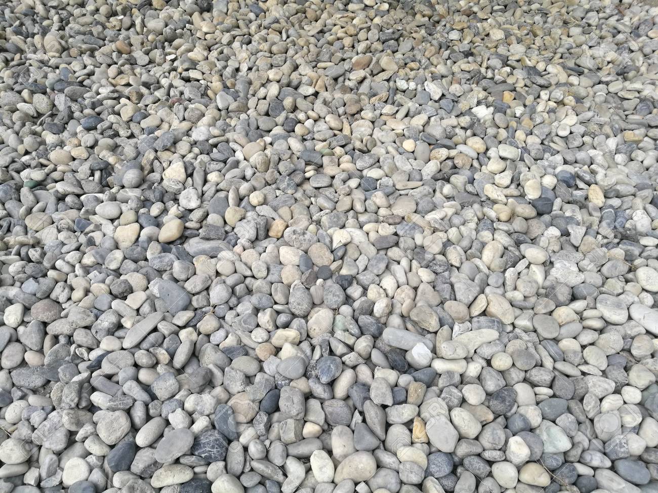 Pebble Stone Background Outdoor Natural River White Grey Rock