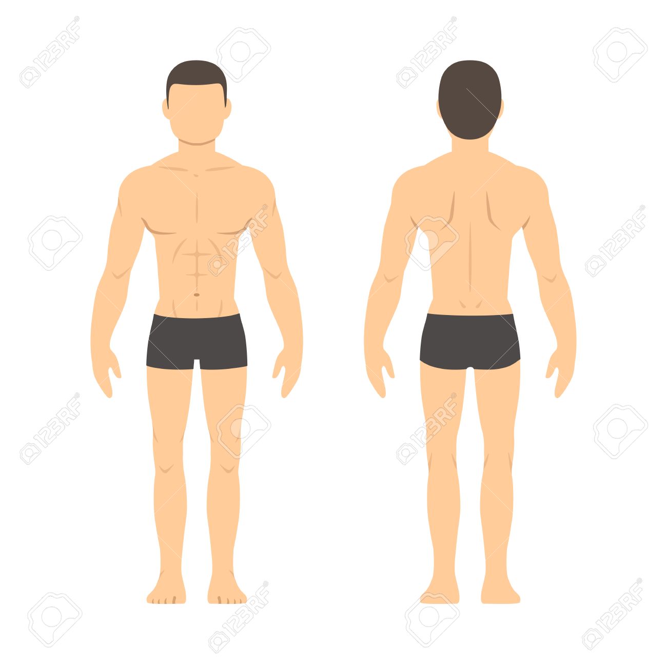 Athletic male body chart. Muscular man body from front and back. Isolated health and fitness illustration. - 53372784 Athletic male body chart. Muscular man body from front and back. Isolated health and fitness illustration. - 53372784