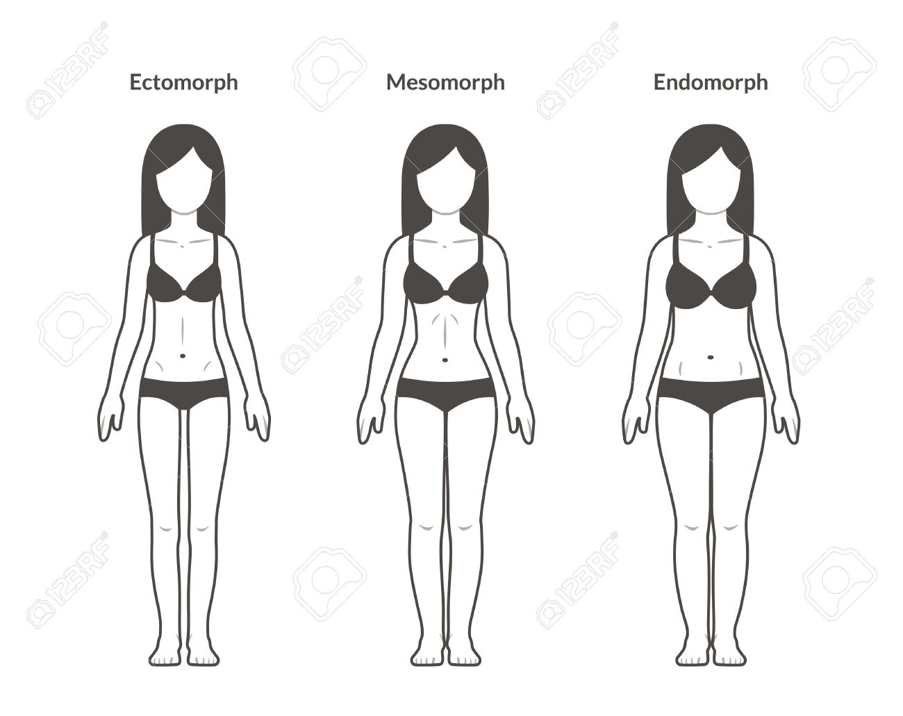 Female Body Types: Ectomorph, Mesomorph And Endomorph. Skinny, Fit And  Overweight Build. Fitness And Health Illustration. Royalty Free SVG,  Cliparts, Vectors, and Stock Illustration. Image 56736377., image size:1300x1031