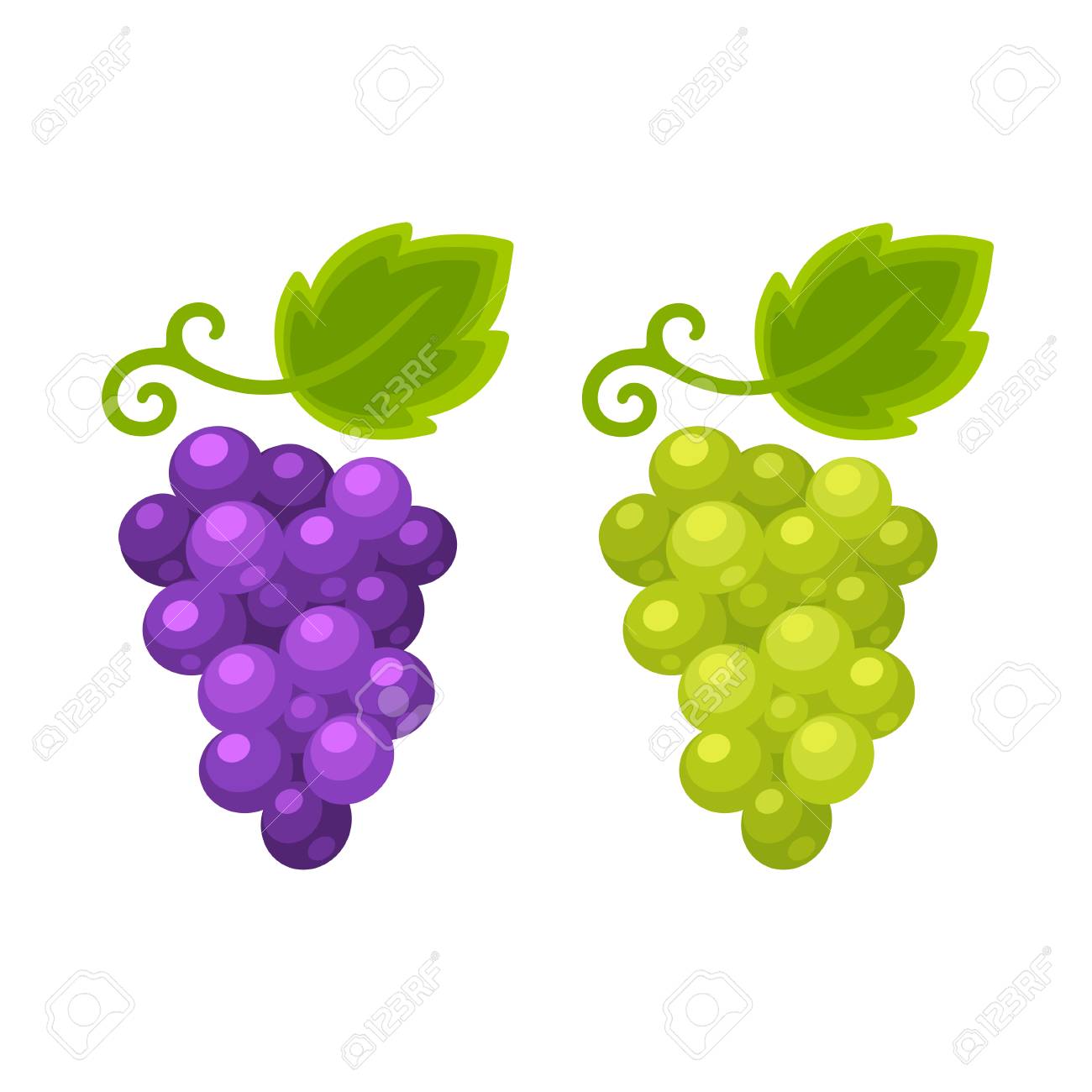 Red And White Grapes Isolated Cartoon Illustration, Grape Types Set. Wine  Vector Logo Art. Royalty Free SVG, Cliparts, Vectors, and Stock  Illustration. Image 75281837., image size:1300x1300