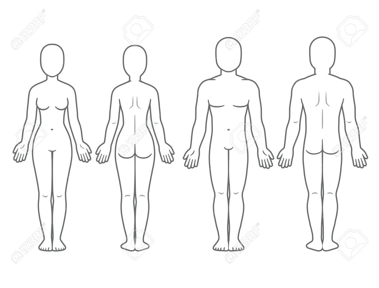 Male and female body front and back view. Blank human body template for medical infographic. Isolated vector illustration. - 95218807 Male and female body front and back view. Blank human body template for medical infographic. Isolated vector illustration. - 95218807
