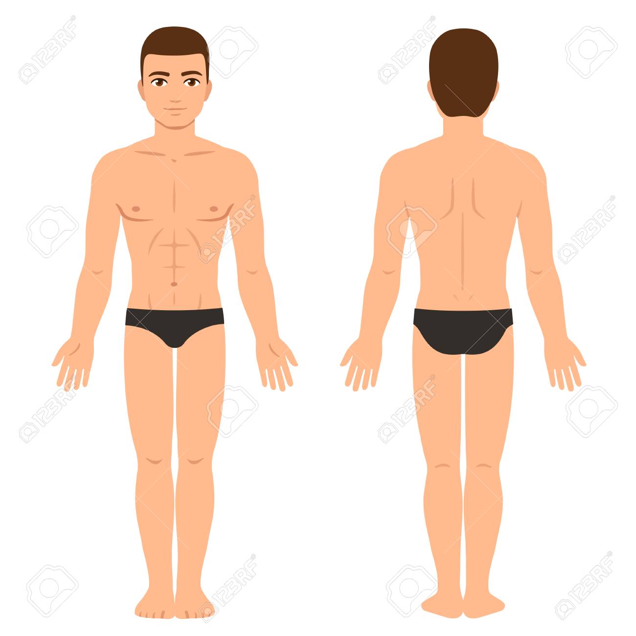 下着の前面と背面図で男性の体 アスレチックな若者の体格 医療インフォグラフィックやファッションイラストのためのベクタークリップアート のイラスト素材 ベクタ Image 下着の前面と背面図で男性の体 アスレチックな若者の体格 医療インフォグラフィックやファッションイラストのためのベクタークリップアート のイラスト素材 ベクタ Image