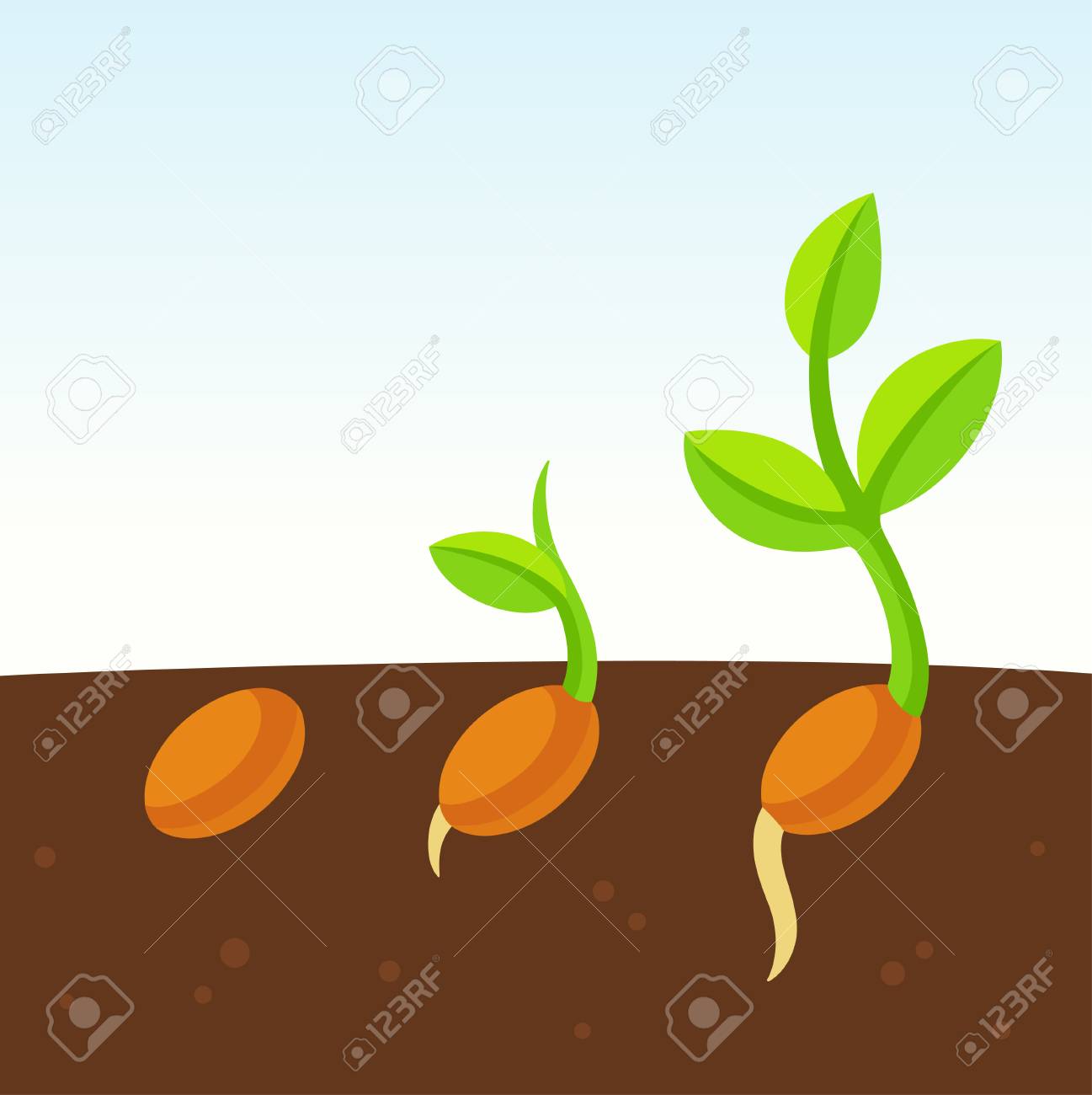 Little Growing Plant Cartoon Illustration Seed Sprouting From Royalty Free Cliparts Vectors And Stock Illustration Image