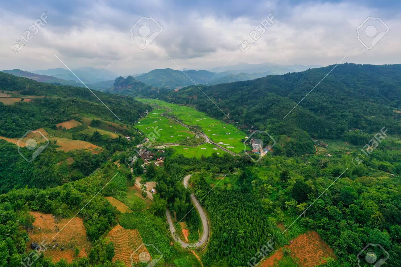 etiam-dictum-ipsum-a-felis