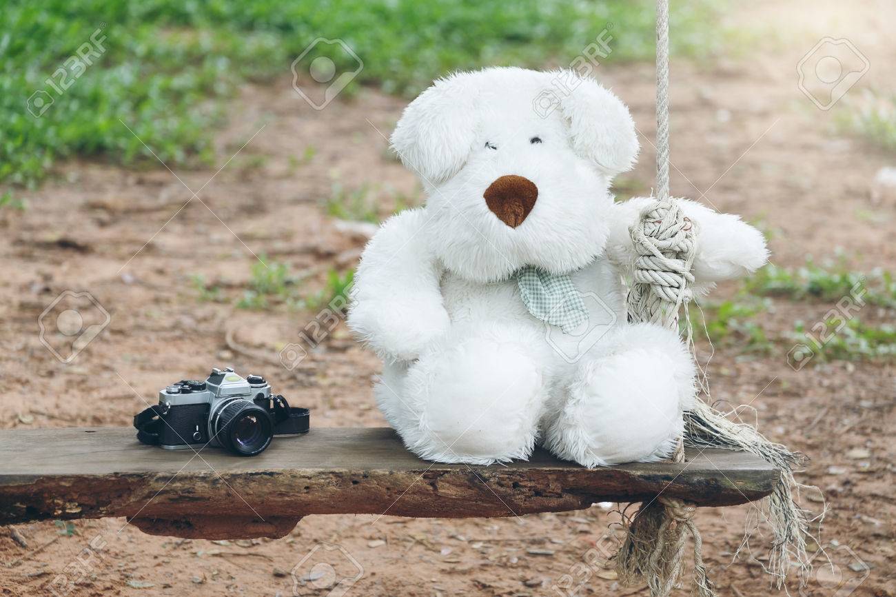 カメラでブランコに座っているかわいいぬいぐるみ犬 の写真素材 画像素材 Image