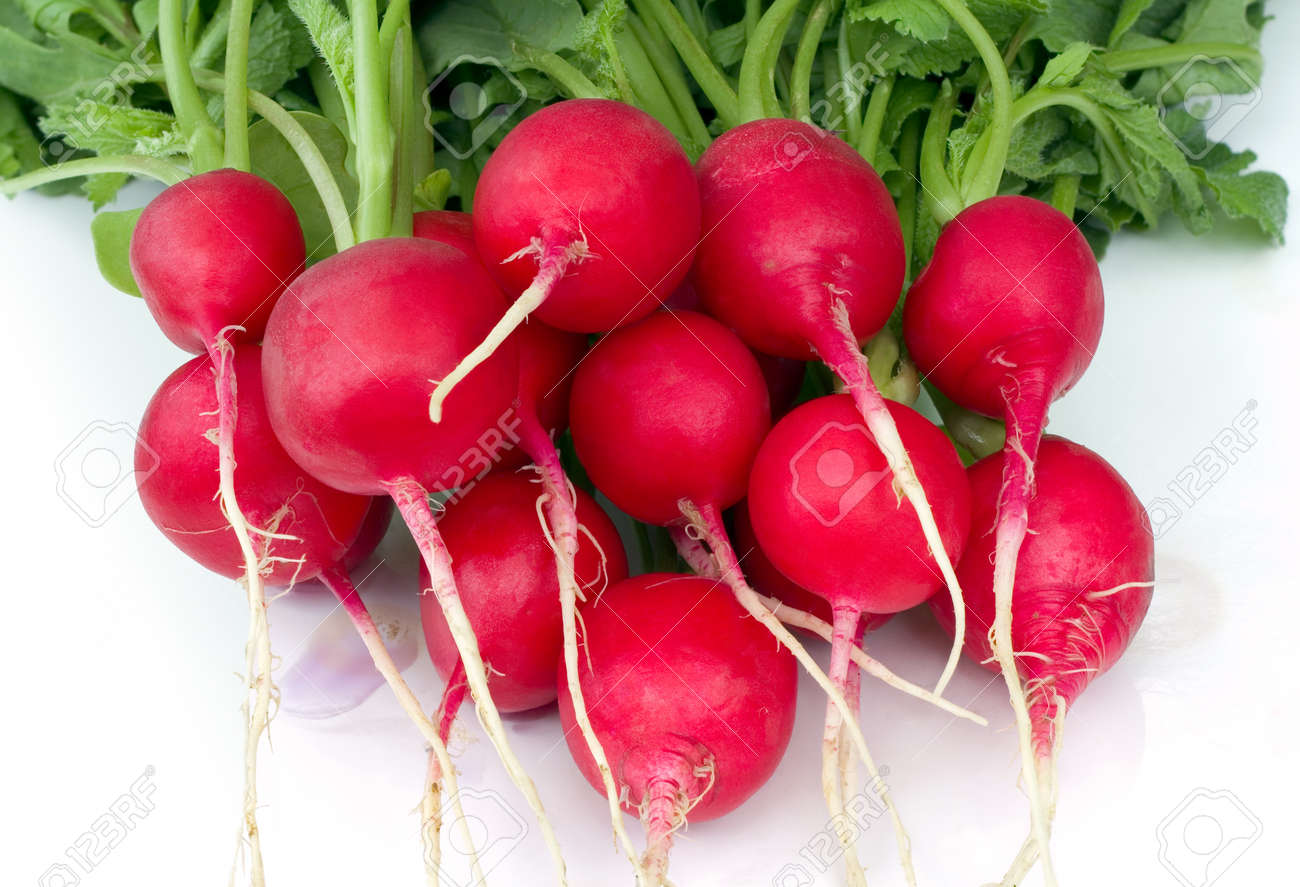 13861631-bunch-of-red-radish-raphanus-sativus.jpg