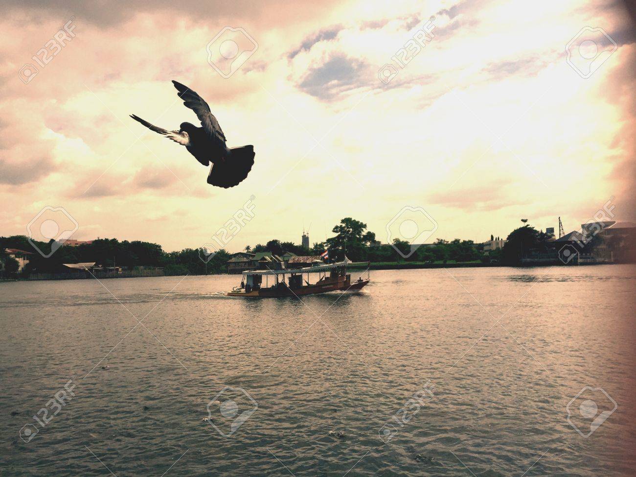 etiam-dictum-ipsum-a-felis