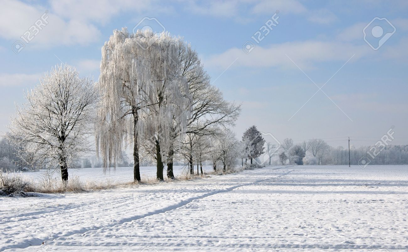 Winter Landscape In West Poland Stock Photo Picture And Royalty Free Image Image 11891411