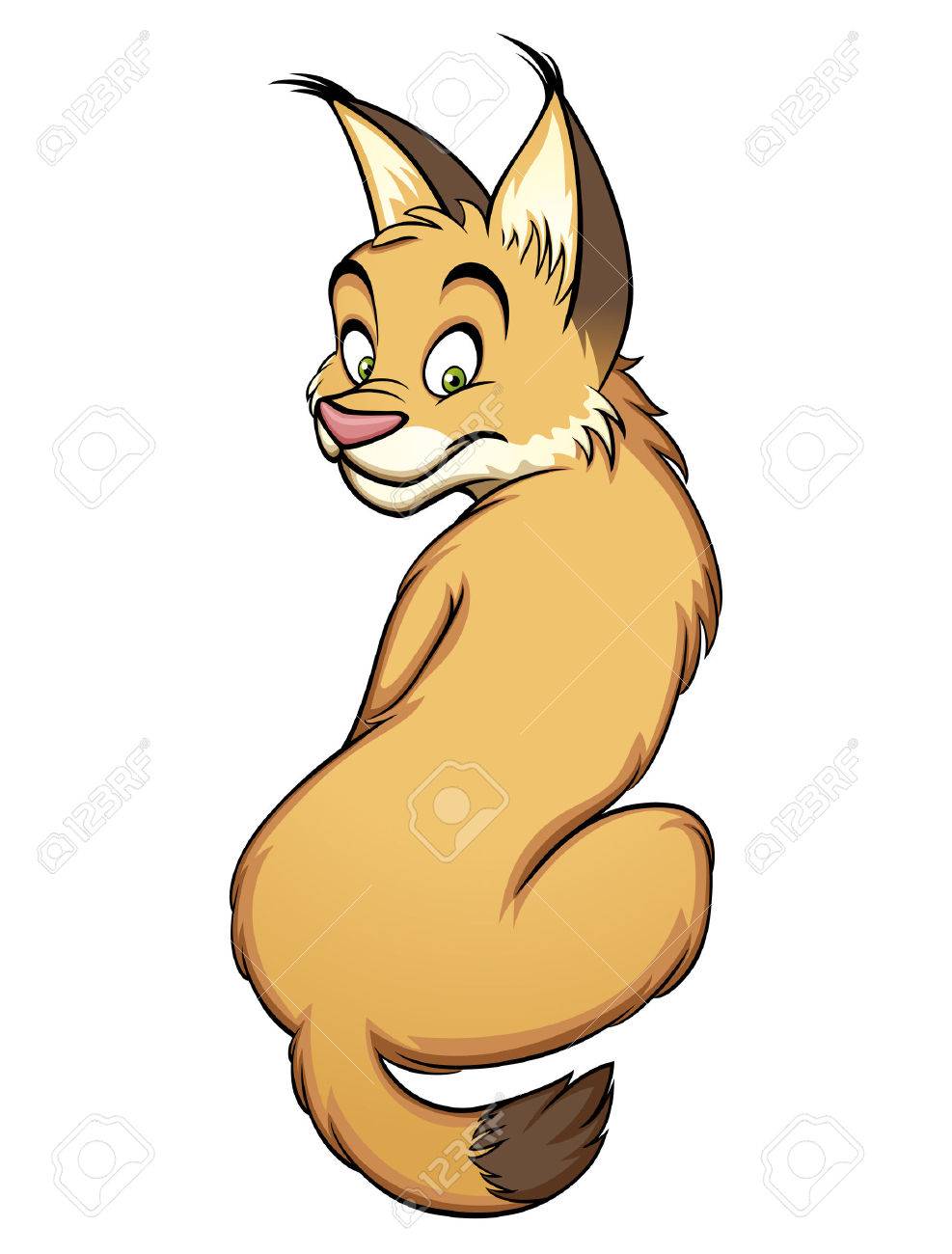 cartoon bobcat lynx cute kitten vector illustration drawing isolated