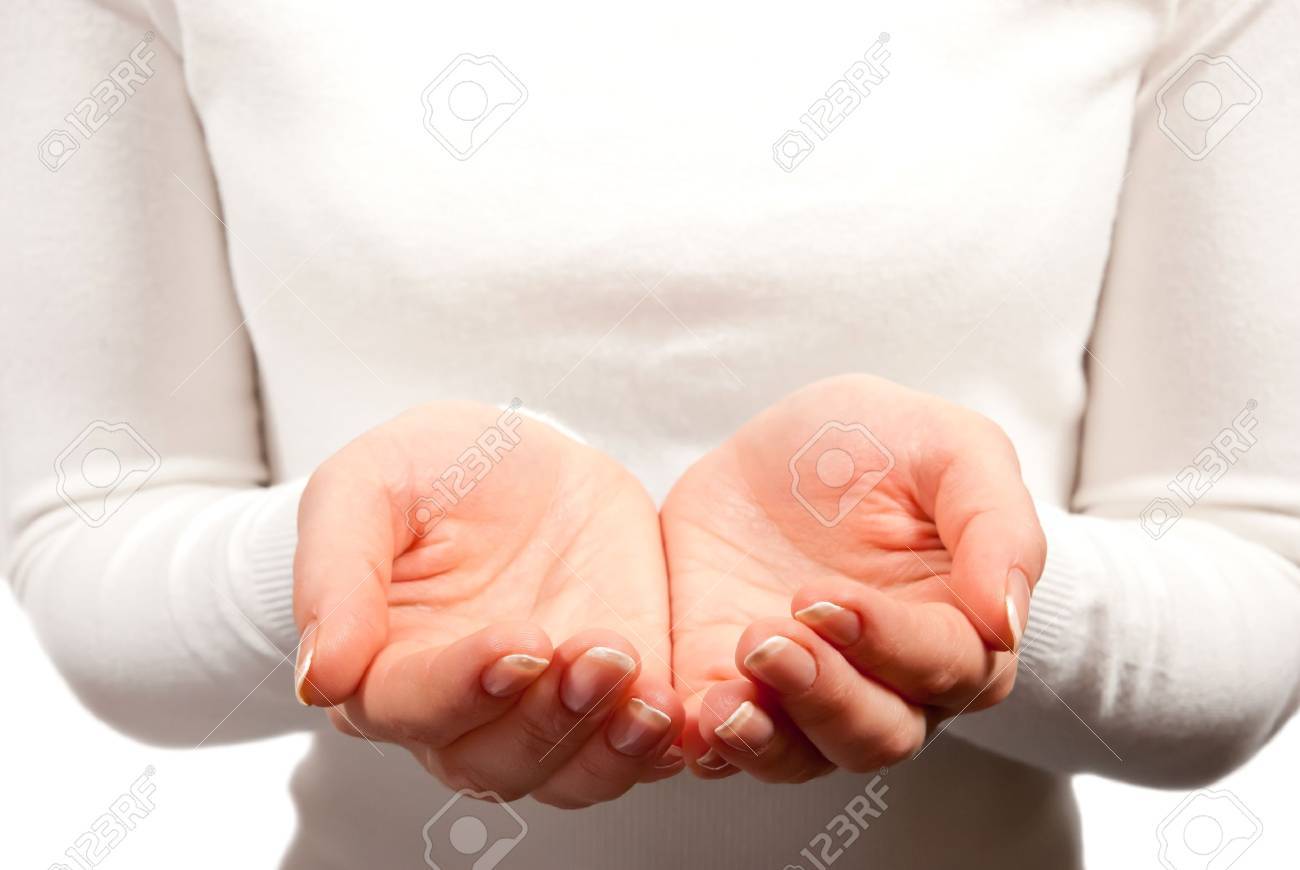 Empty cupped woman hands on white background - 8662559 Empty cupped woman hands on white background - 8662559