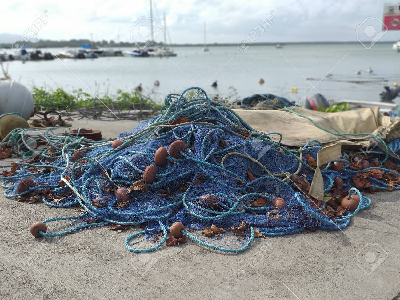 Set of fishing nets Clearance