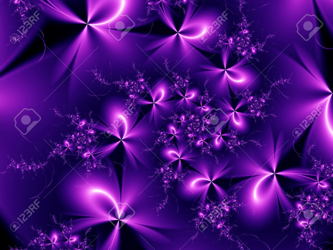 purple flowers backgrounds