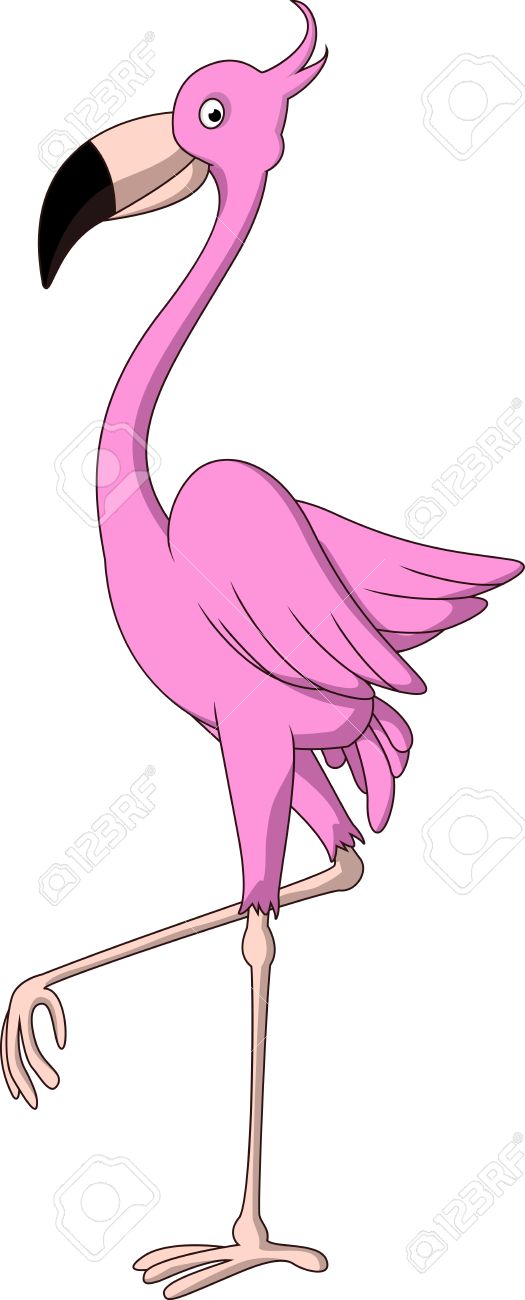 Dessin Anime Flamant Rose Clip Art Libres De Droits Vecteurs Et Illustration Image