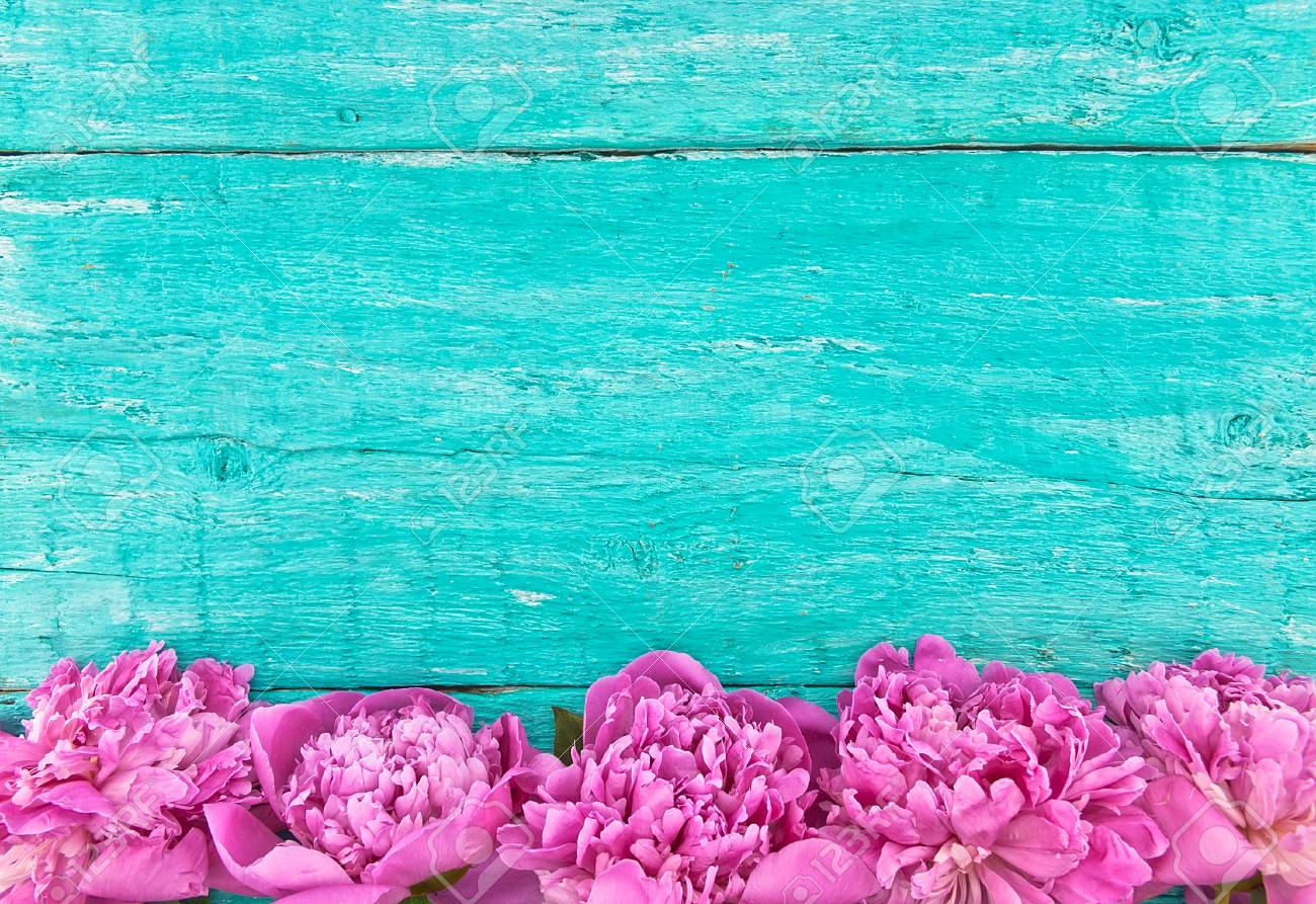 turquoise flower background