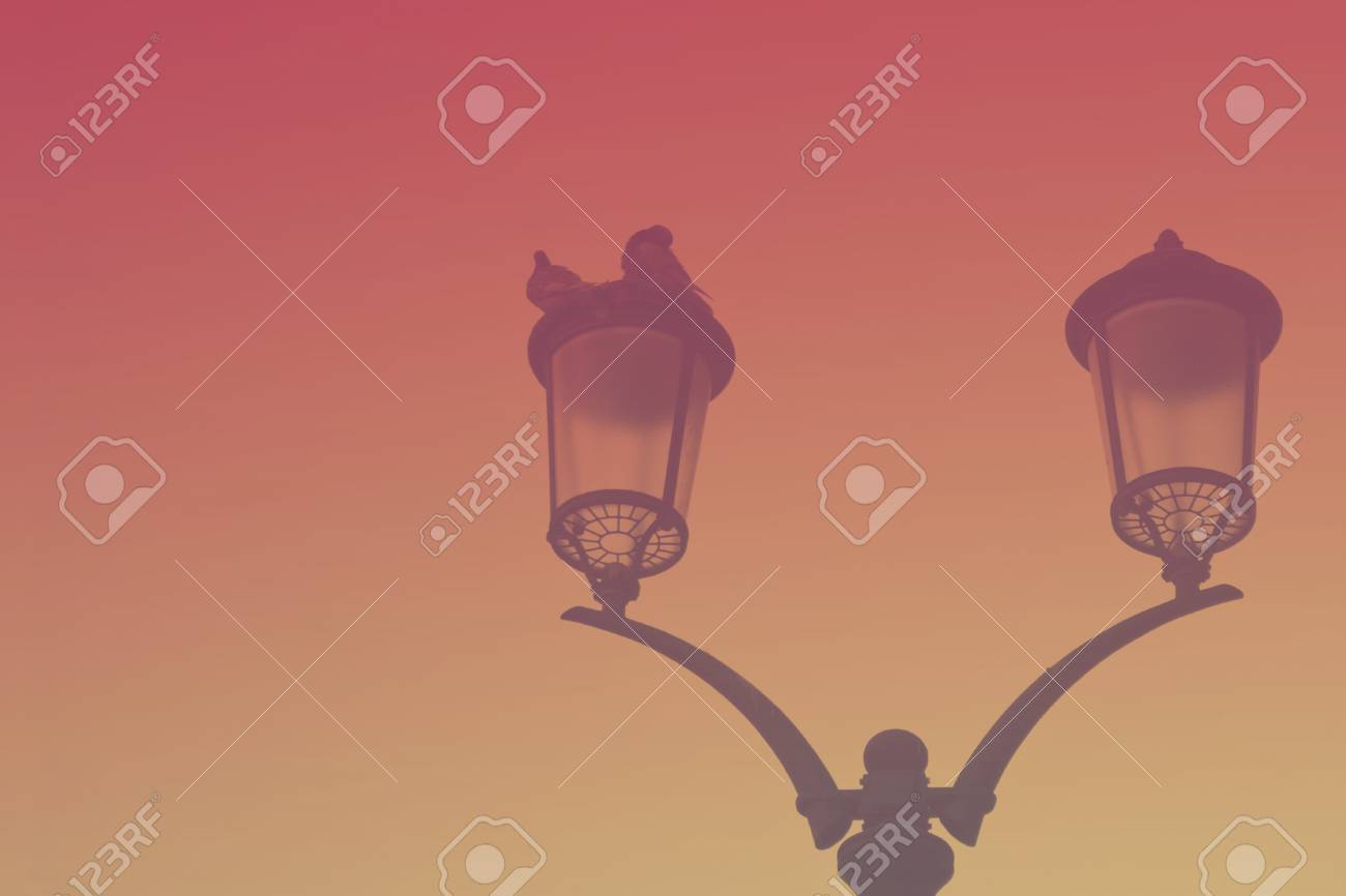 silhouette of a vintage streetlight on sunset background doves
