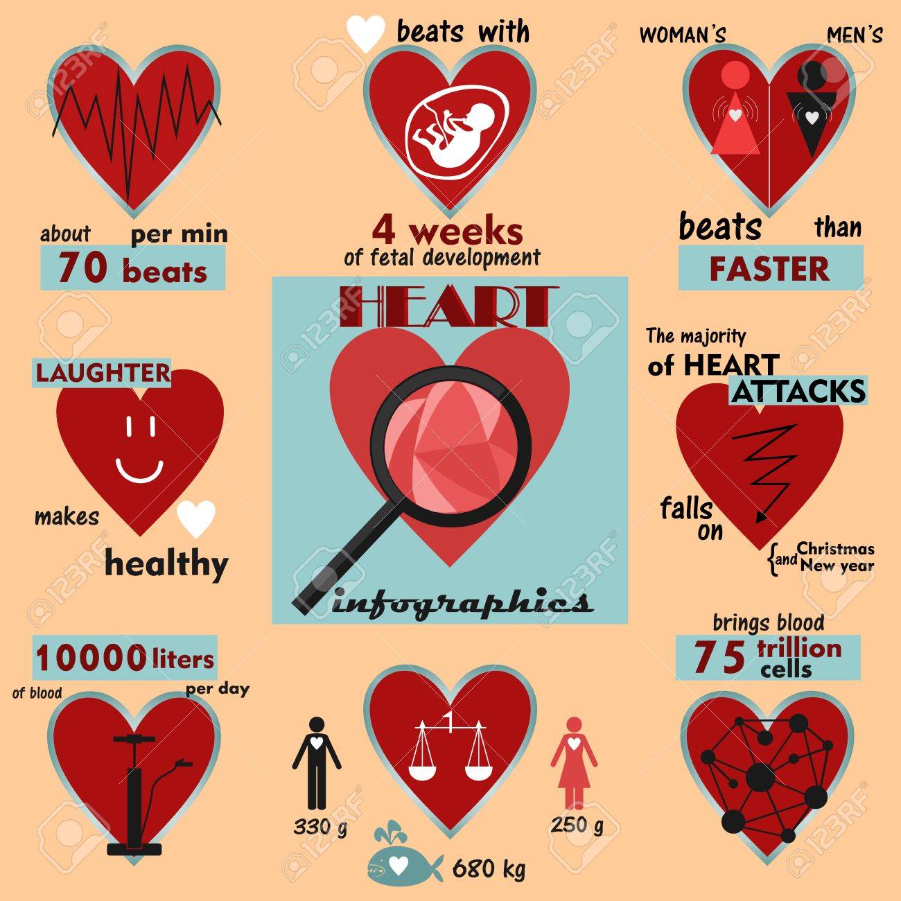Info Grafiken Und Interessante Fakten Uber Das Menschliche Herz Und Die Herztatigkeit Lizenzfrei Nutzbare Vektorgrafiken Clip Arts Illustrationen Image 64830728