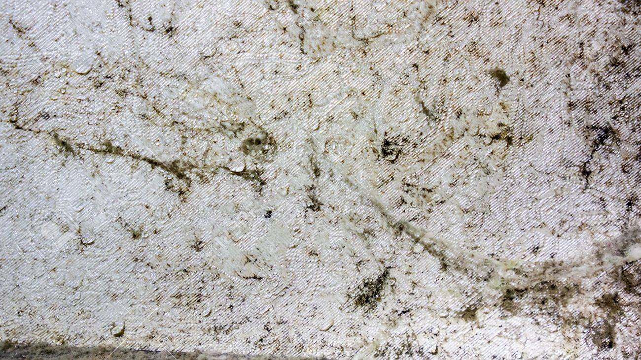 White Silver Wall With Big Spider Web Black Mold And Clear Water