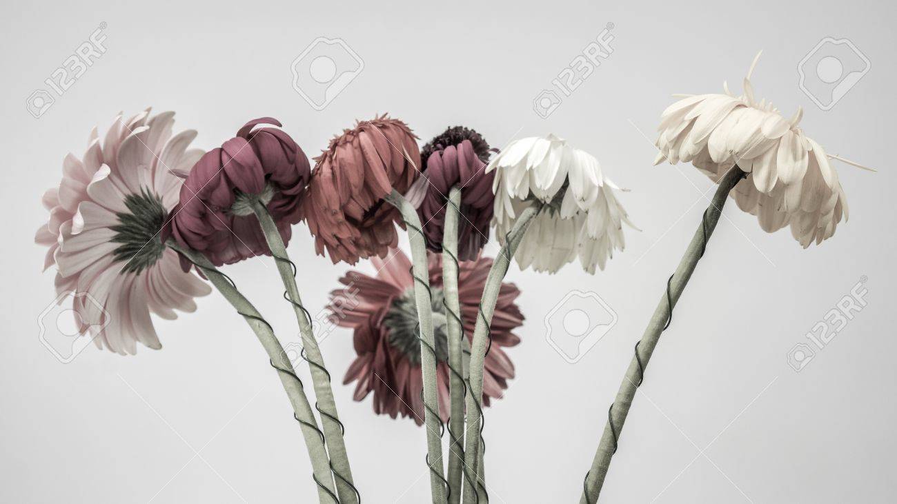 大きな綿布にペルシャの多様な花を捺染、ヴィンテージ・カラム