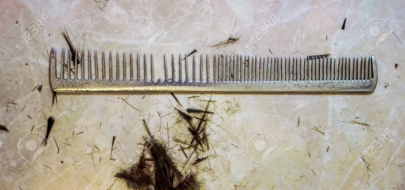 Hair cutting shears and comb isolated on white. long silver hair..