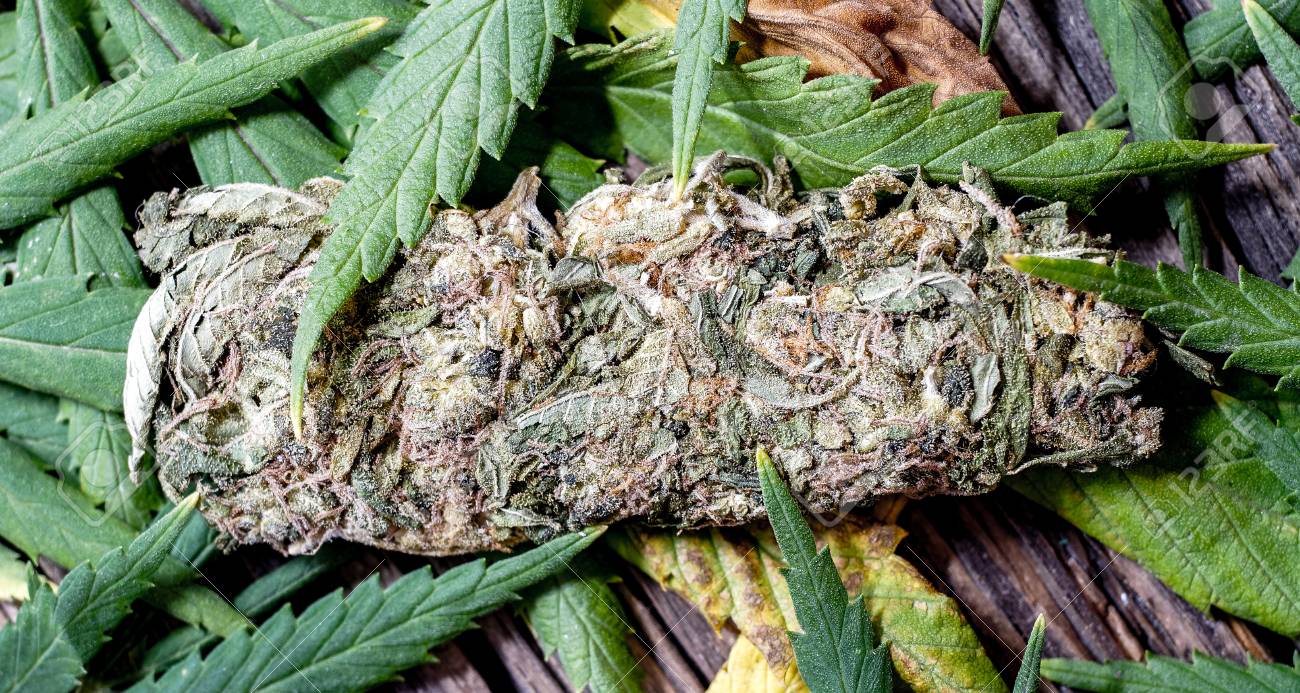 7 Consejos para vaporizar la Marihuana correctamente Vaporizar la Marihuana correctamente